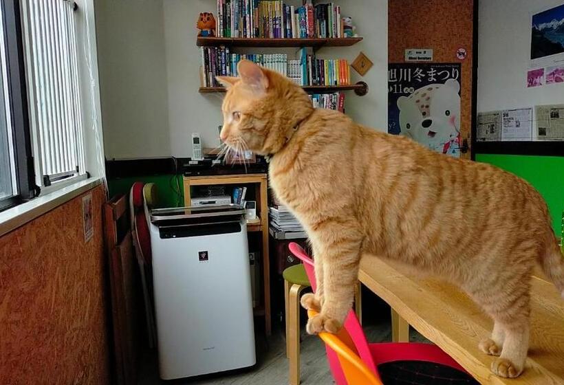 פנסיון Asahikawa Ride