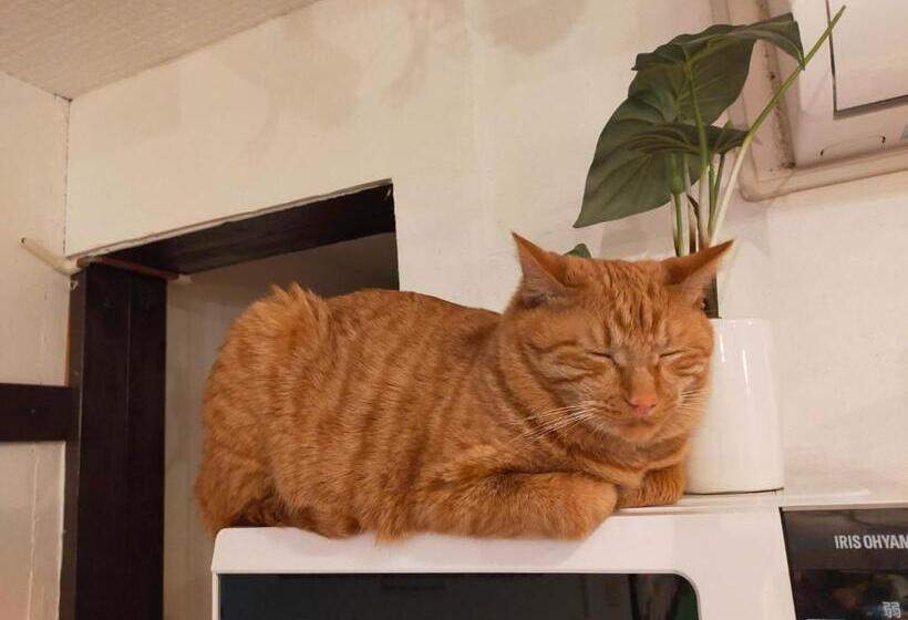 פנסיון Asahikawa Ride