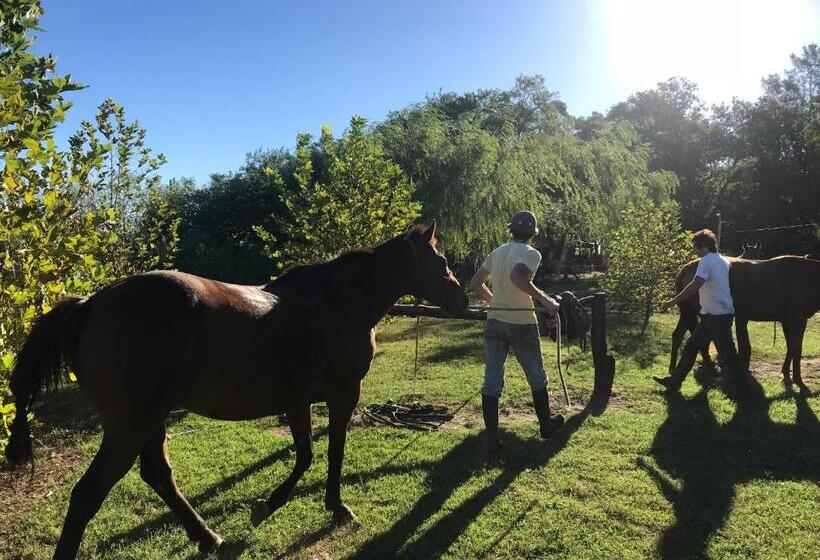 بنسيون Hostel De Campo La Providencia