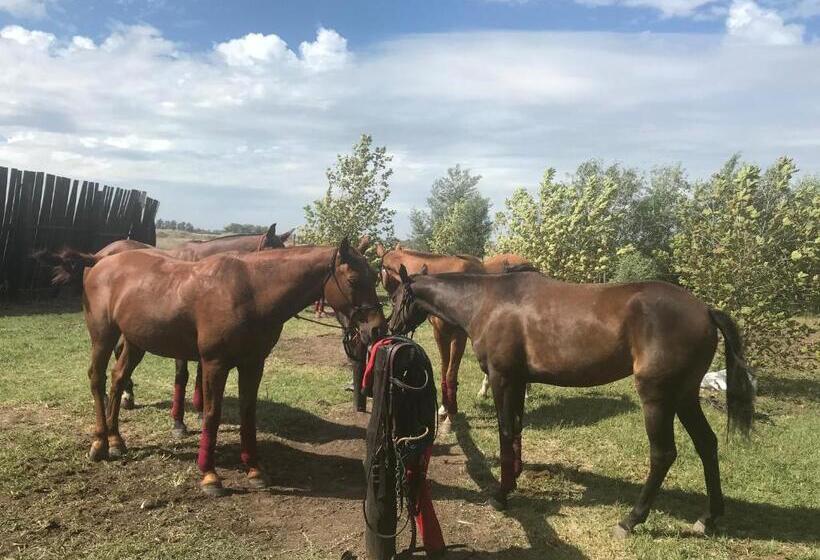 بنسيون Hostel De Campo La Providencia