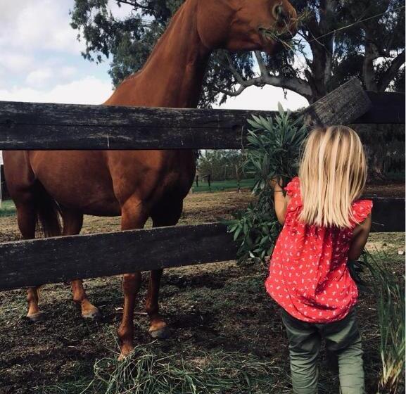 بنسيون Hostel De Campo La Providencia