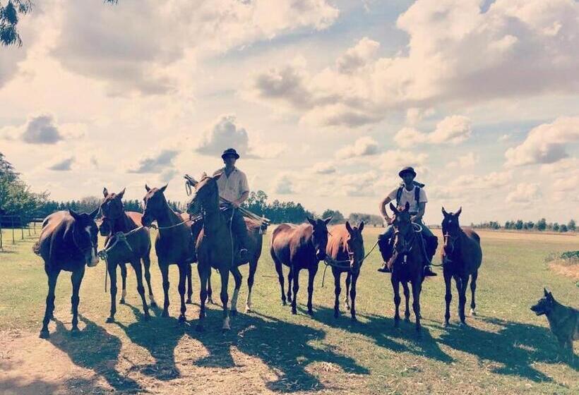 بنسيون Hostel De Campo La Providencia