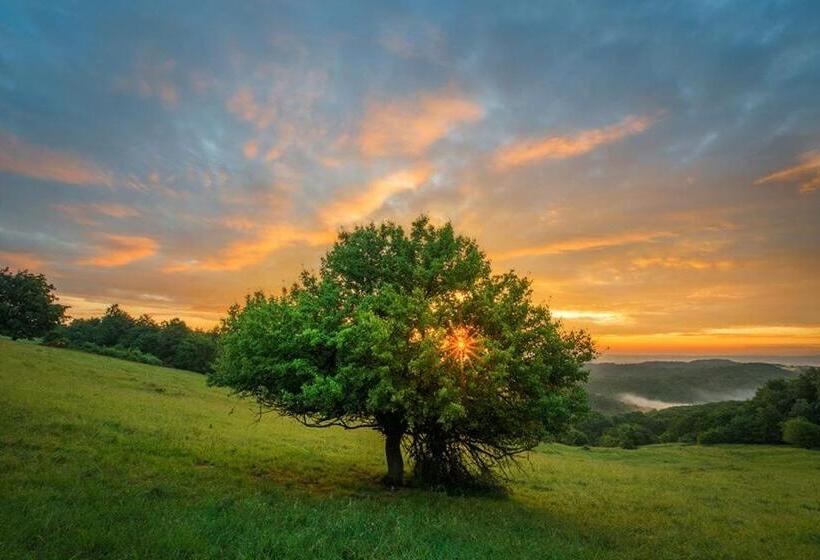 بنسيون Kis Rigó Vendégház