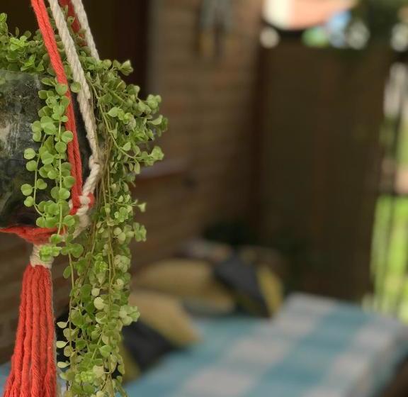 بنسيون Pousada Kaz Oca