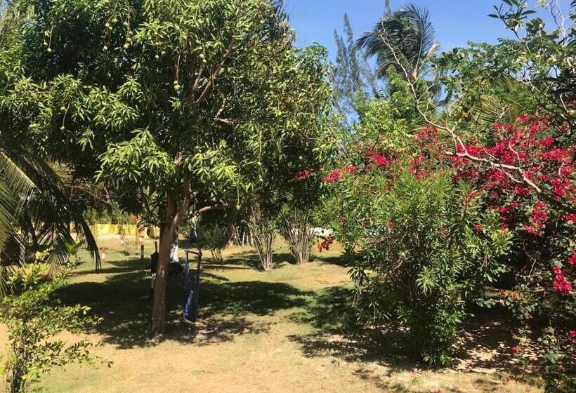 بنسيون Pousada Malea