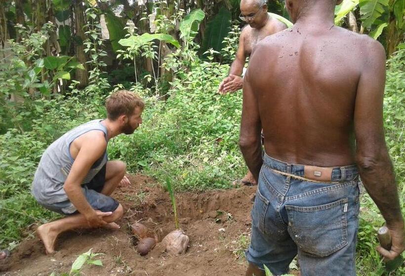 بنسيون Siri Medura Surf Yoga Meditation Guesthouse And Hostel