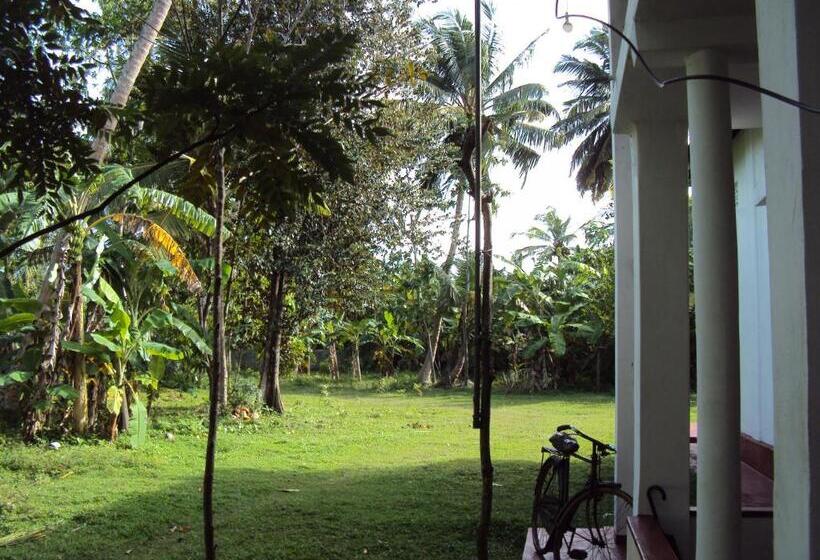 بنسيون Siri Medura Surf Yoga Meditation Guesthouse And Hostel