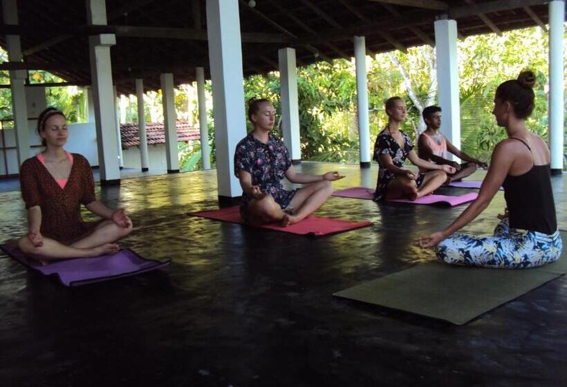 بنسيون Siri Medura Surf Yoga Meditation Guesthouse And Hostel