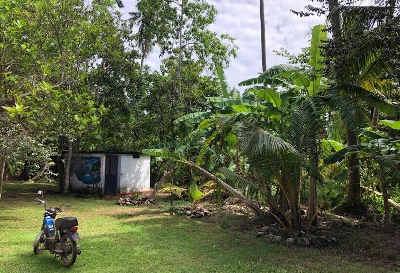 بنسيون Siri Medura Surf Yoga Meditation Guesthouse And Hostel