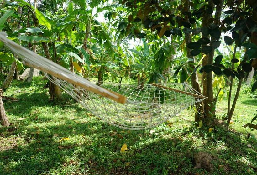 بنسيون Siri Medura Surf Yoga Meditation Guesthouse And Hostel