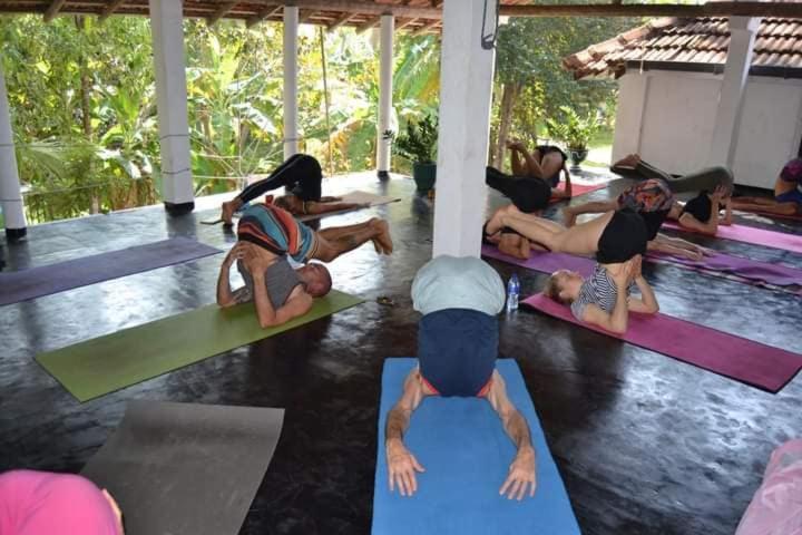 بنسيون Siri Medura Surf Yoga Meditation Guesthouse And Hostel