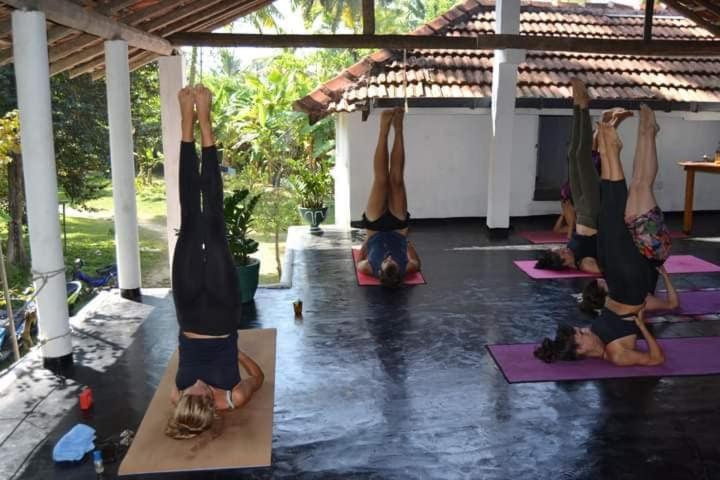 بنسيون Siri Medura Surf Yoga Meditation Guesthouse And Hostel