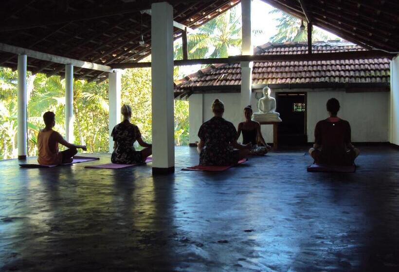 بنسيون Siri Medura Surf Yoga Meditation Guesthouse And Hostel