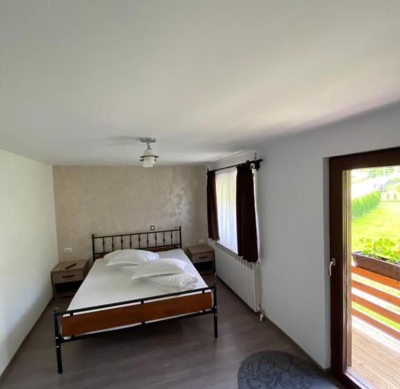 Pensiunea Casa Pancu