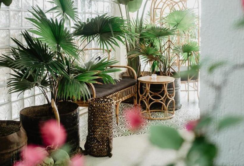 استراحتگاه Frangipani El Nido