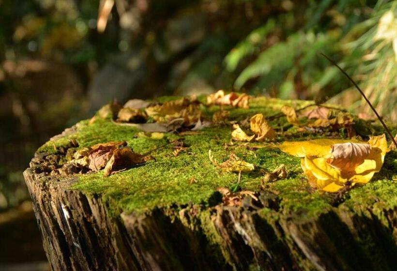 ריוקאן Kyousen