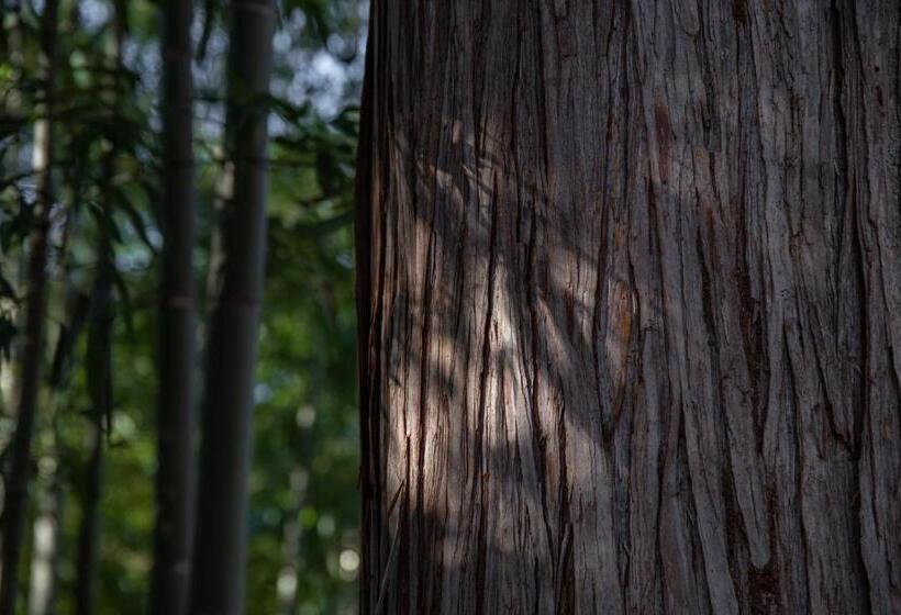 ריוקאן Kyousen