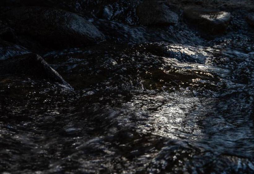 ריוקאן Kyousen