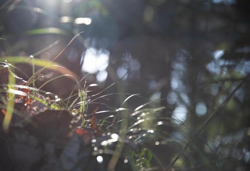 ריוקאן Kyousen