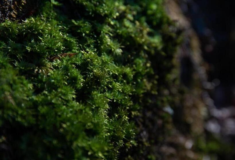 ריוקאן Kyousen