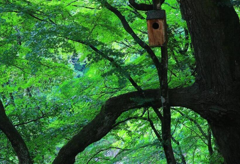 ריוקאן Kyousen