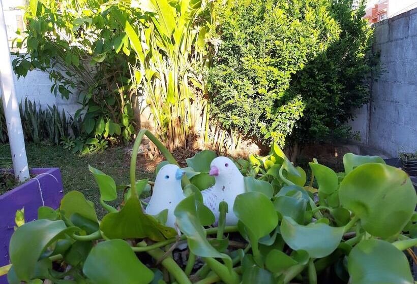 فندق صغير Hostal Guacamayas