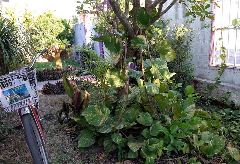 فندق صغير Hostal Guacamayas