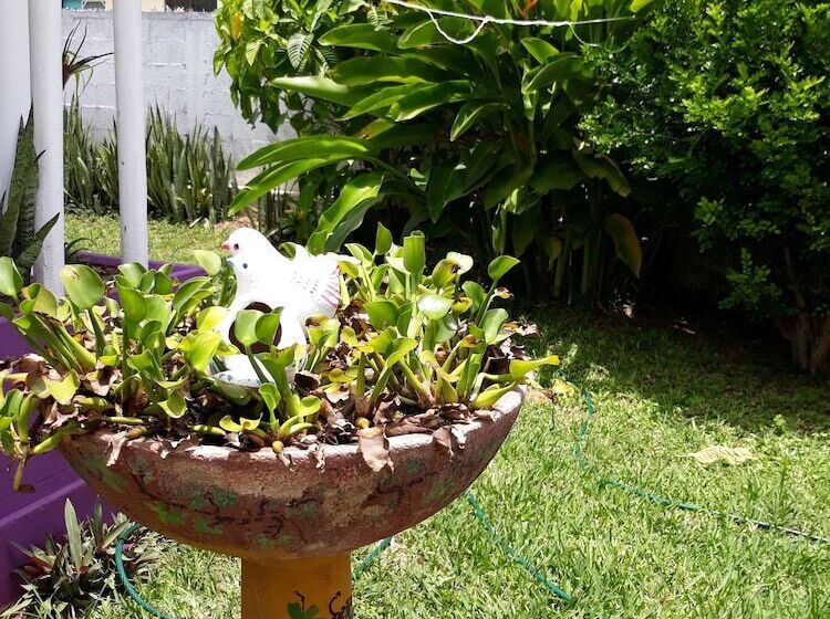 فندق صغير Hostal Guacamayas