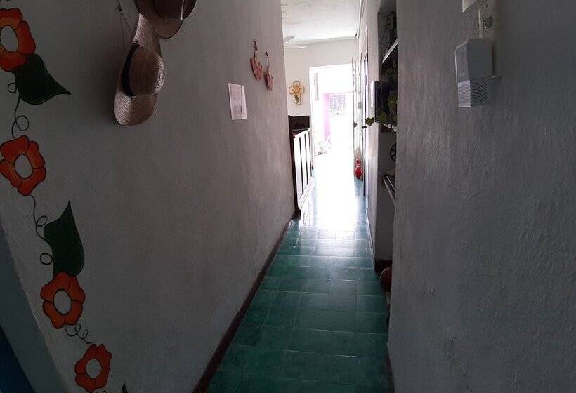 فندق صغير Hostal Guacamayas