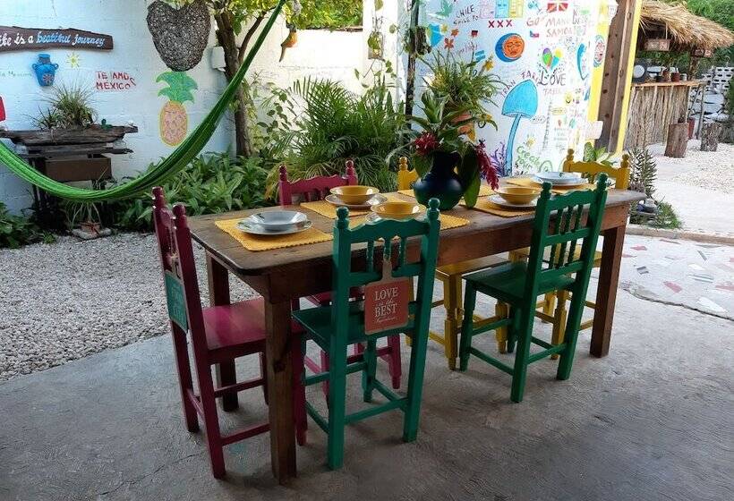 فندق صغير Hostal Guacamayas