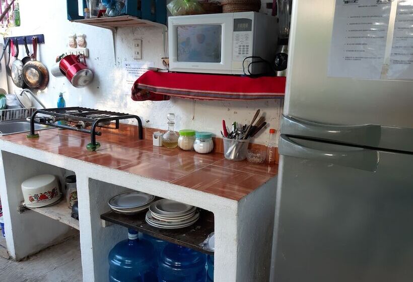 فندق صغير Hostal Guacamayas