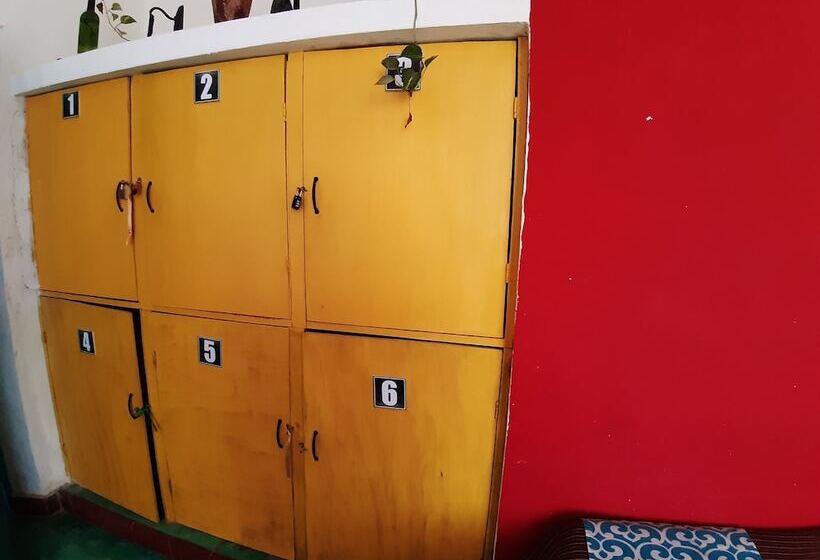 فندق صغير Hostal Guacamayas