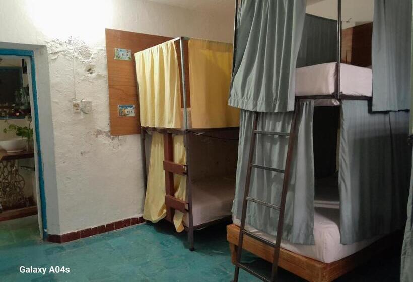 فندق صغير Hostal Guacamayas