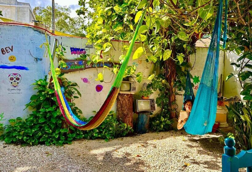 فندق صغير Hostal Guacamayas