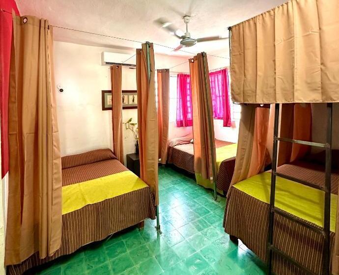 فندق صغير Hostal Guacamayas