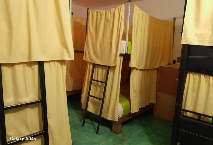 فندق صغير Hostal Guacamayas