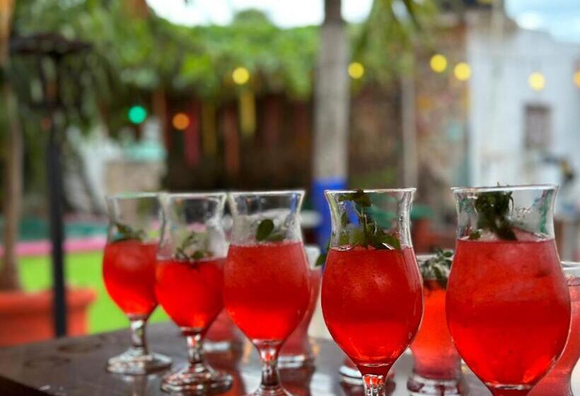 فندق صغير Hostal Guacamayas