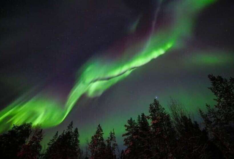 Wilderness Hotel Nangu & Igloos