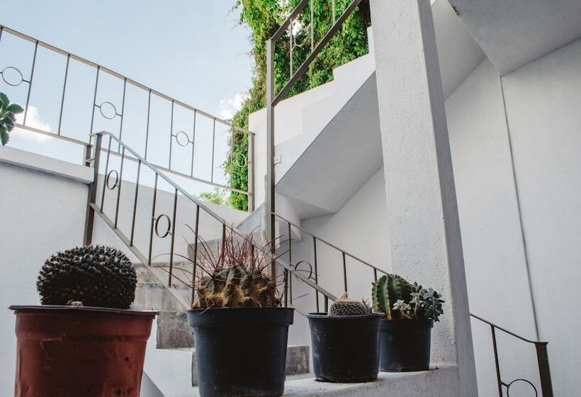 פנסיון Casa Mariel