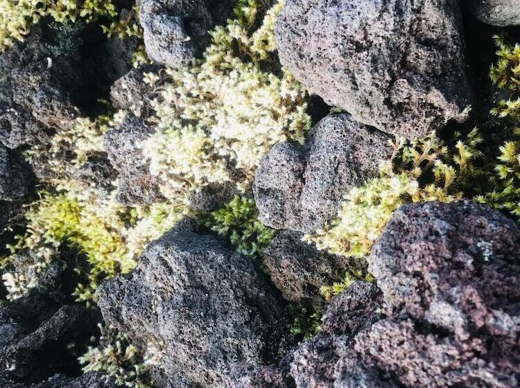 Pensão Onsen Yasumori