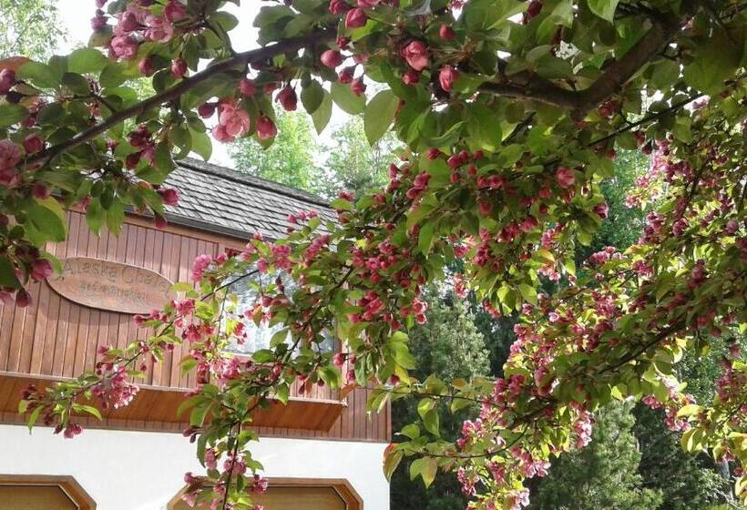 Alaska Chalet Bed & Breakfast