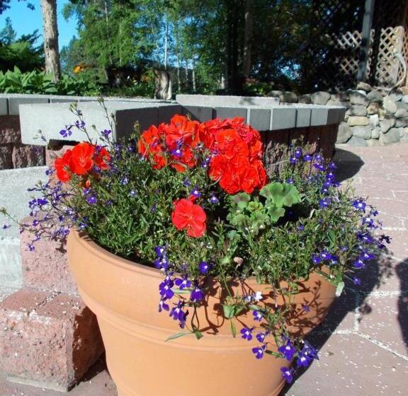 Alaska Chalet Bed & Breakfast