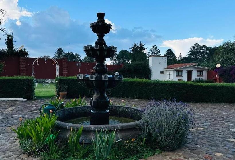 فندق صغير Finca Los Angeles Hospederia & Sociales