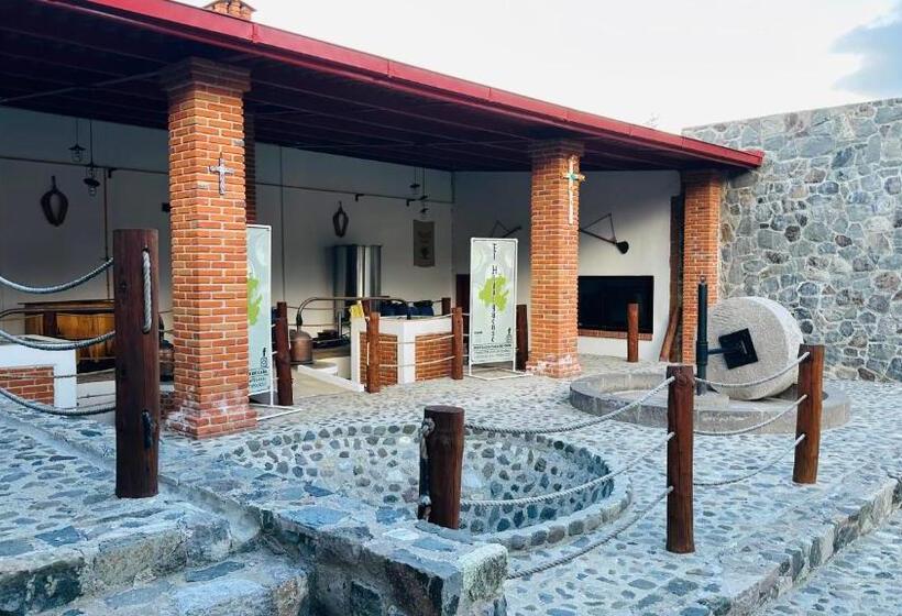 فندق صغير Finca Los Angeles Hospederia & Sociales