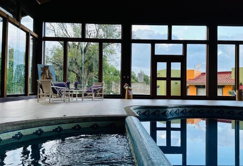 فندق صغير Finca Los Angeles Hospederia & Sociales