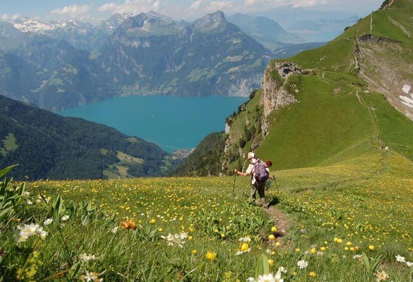 旅馆 Gipfelrestaurant Fronalpstock