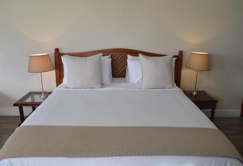 פנסיון Arcangeli Wines