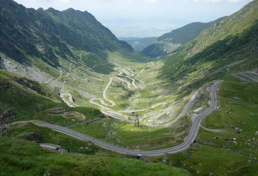 بنسيون Casa Florea