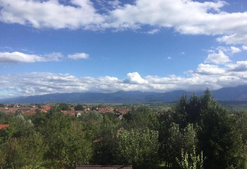 بنسيون Casa Florea