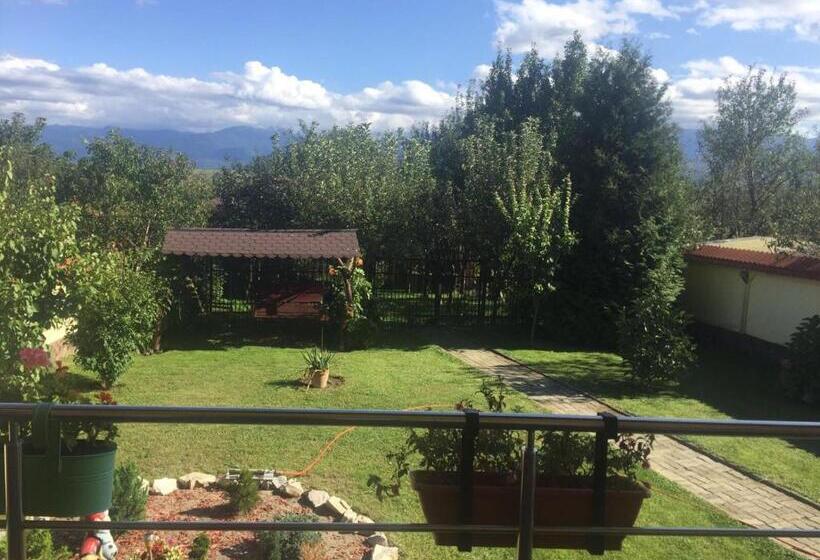 بنسيون Casa Florea